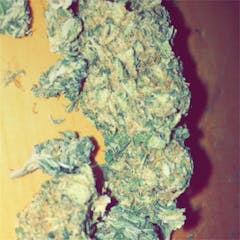 User uploaded image of Blue Dragon