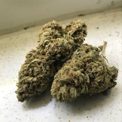 User uploaded image of Blue Dragon