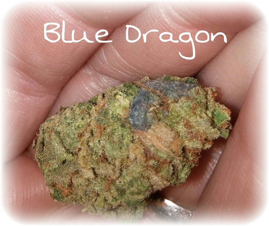 Photos of Blue Dragon Weed Strain Buds Leafly