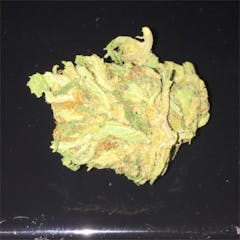 User uploaded image of Blue Dragon