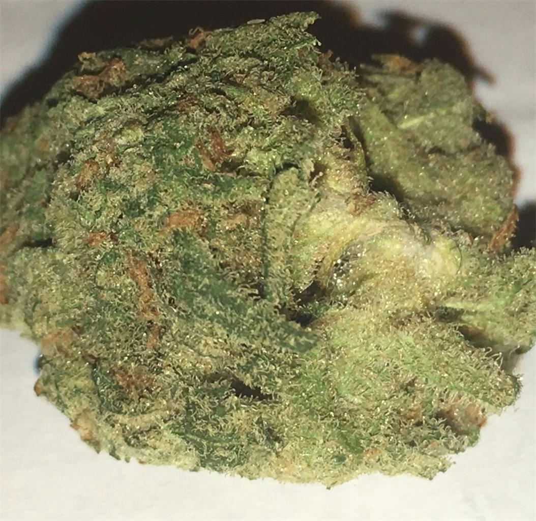 Photos of Blue Dream Weed Strain Buds Leafly