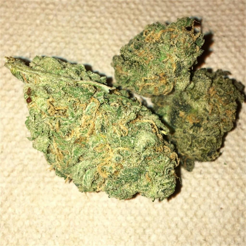 Photos of Blue Dream Weed Strain Buds Leafly