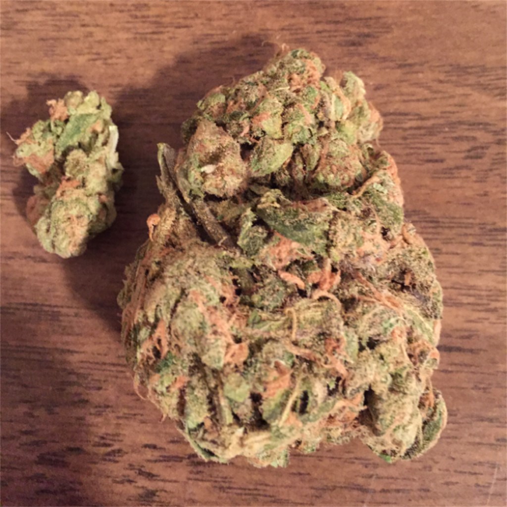 Blue dream strain