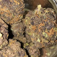 User uploaded image of Blue Dream