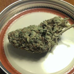 User uploaded image of Blue Dynamite