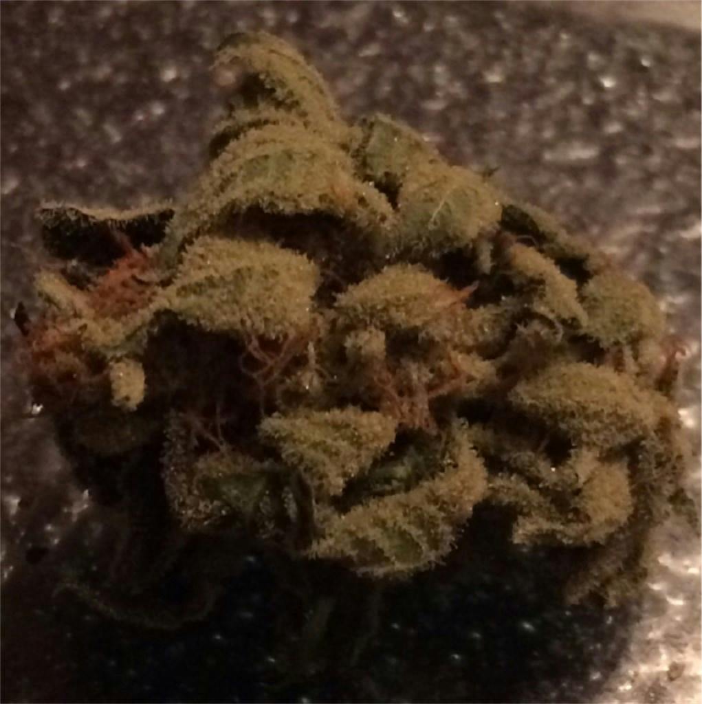 Blue Frost Weed Strain Information Leafly
