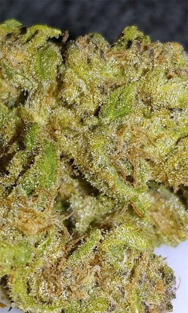 Photos of Blue Frost Weed Strain Buds Leafly