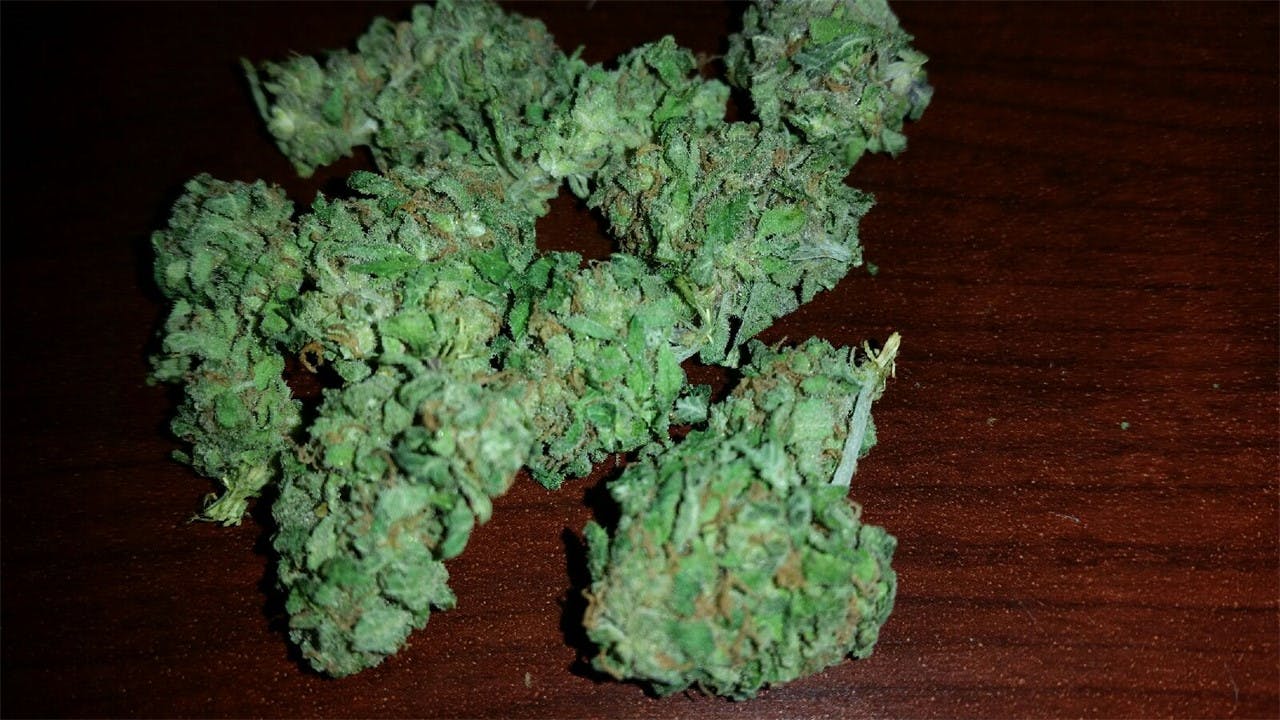 Photos of Blue Frost Weed Strain Buds Leafly