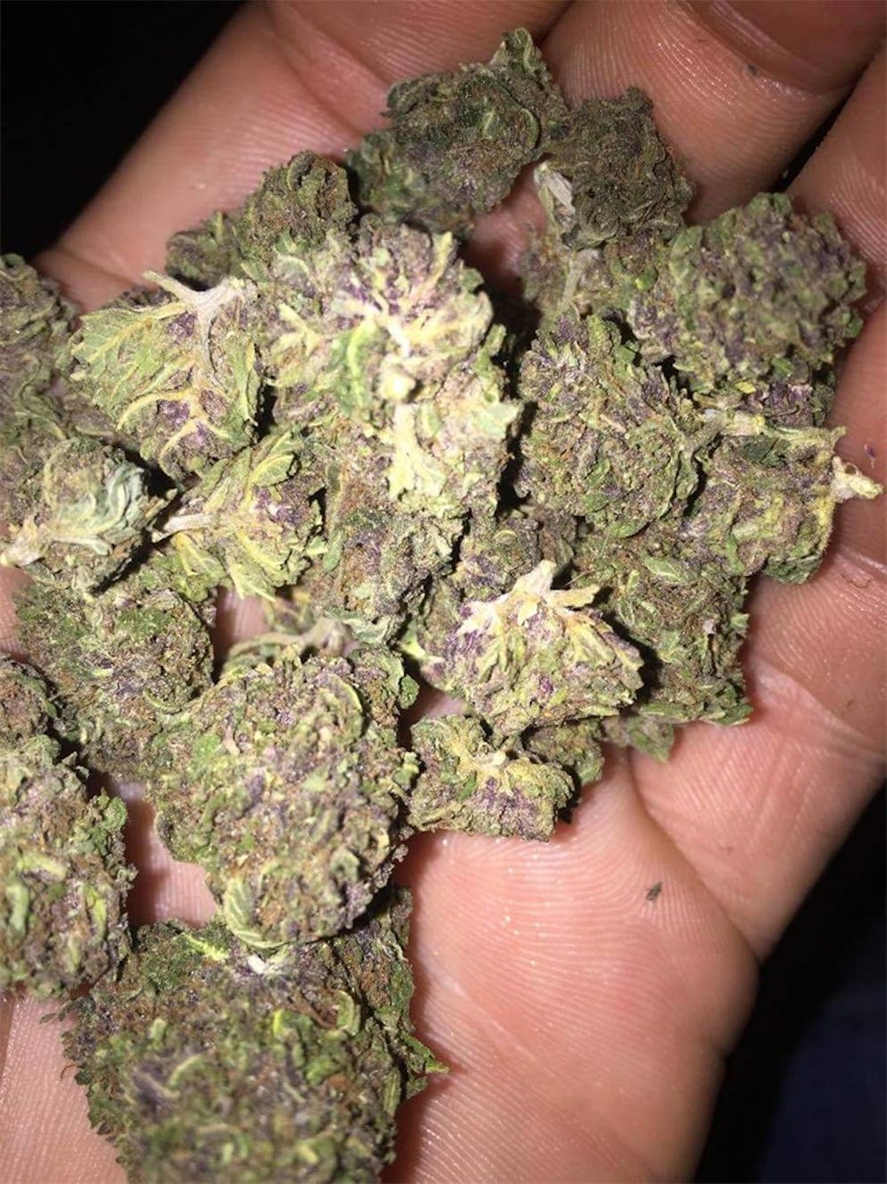 Photos of Blue Frost Weed Strain Buds Leafly