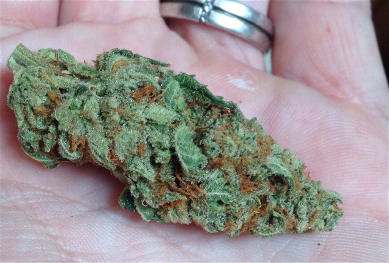 Photos of Blue Frost Weed Strain Buds Leafly