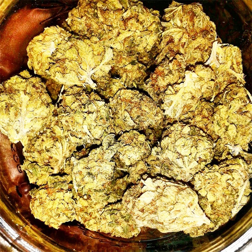 Photos of Blue Frost Weed Strain Buds Leafly