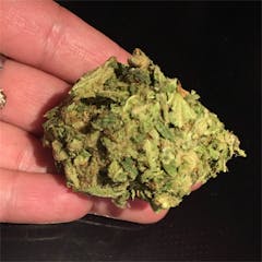 User uploaded image of Blue God