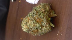 User uploaded image of Blue God