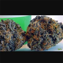 User uploaded image of Blue God