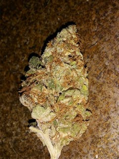 User uploaded image of Blue God