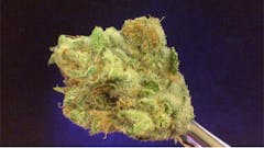 User uploaded image of Blue Goo