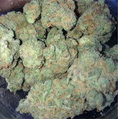 User uploaded image of Blue Goo