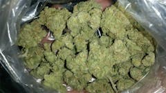 User uploaded image of Blue Goo