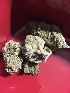 User uploaded image of Blue Goo