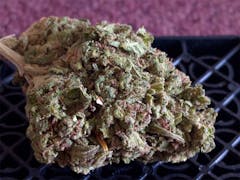 User uploaded image of Blue Goo