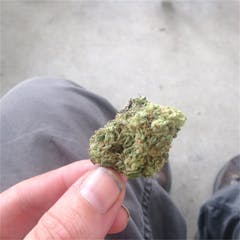 User uploaded image of Blue Hawaiian