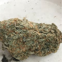 User uploaded image of Blue Hawaiian