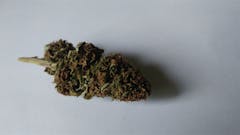 User uploaded image of Blue Hawaiian