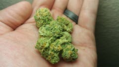 User uploaded image of Blue Hawaiian