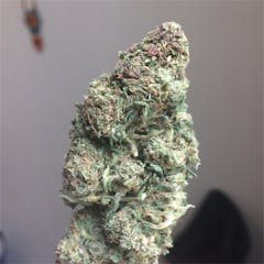 User uploaded image of Blue Haze