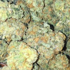 User uploaded image of Blue Haze