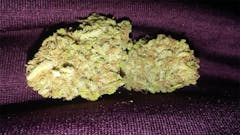 User uploaded image of Blue Haze