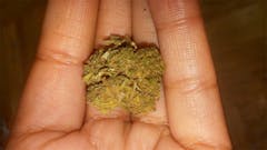 User uploaded image of Blue Kiss