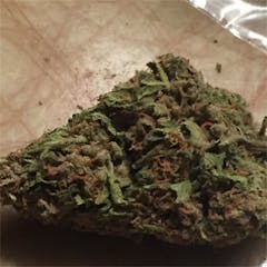 User uploaded image of Blue Knight