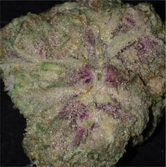 User uploaded image of Blue Knight