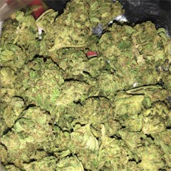 User uploaded image of Blue Kush