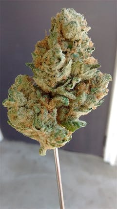 User uploaded image of Blue Kush