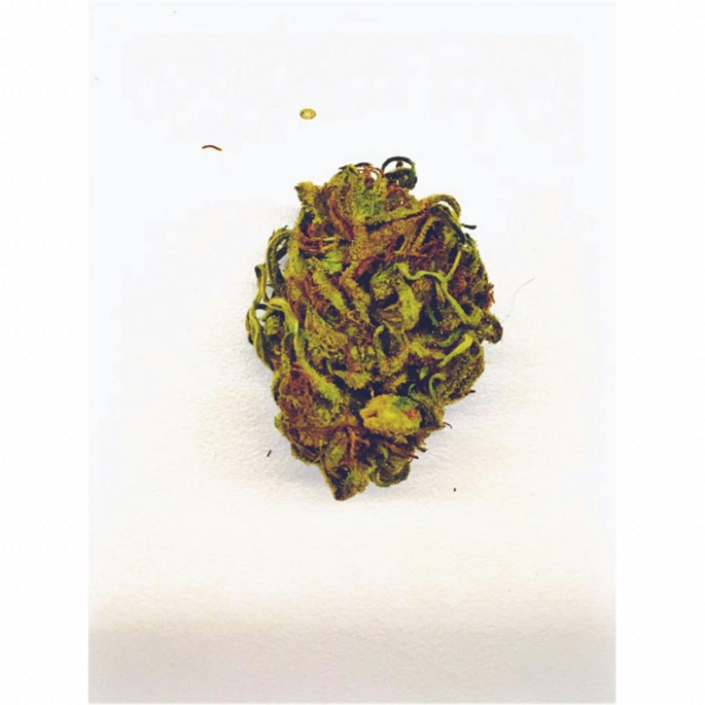 Blue Kush Weed Strain Information Leafly