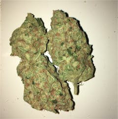 User uploaded image of Blue Kush