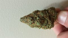 User uploaded image of Blue Lights