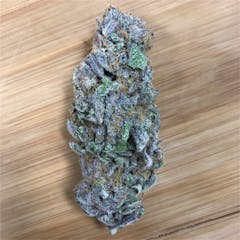 User uploaded image of Blue Magoo