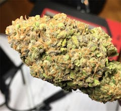 User uploaded image of Blue Magoo