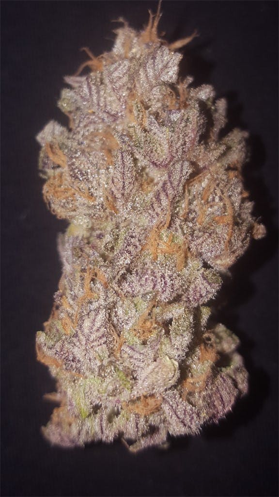 Blue Magoo Marijuana Strain Information Leafly