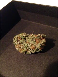 User uploaded image of Blue Monster