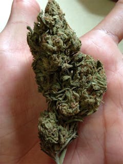 User uploaded image of Blue Monster