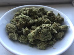 User uploaded image of Blue Monster