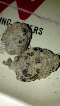 User uploaded image of Blue Moon Rocks