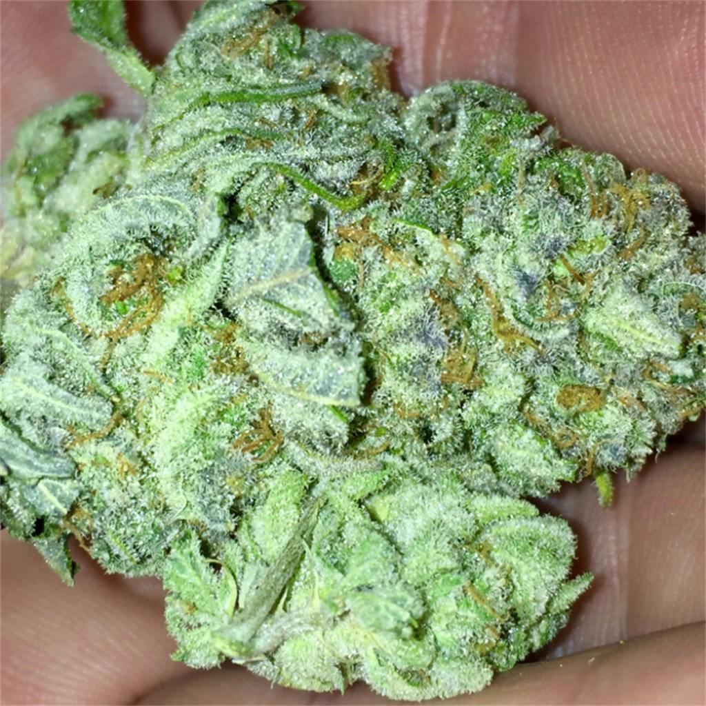 Blue Moonshine aka Blue Moon Weed Strain Information Leafly