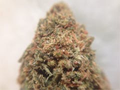 User uploaded image of Blue Moonshine