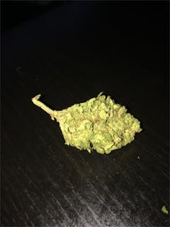 User uploaded image of Blue Mountain Fire