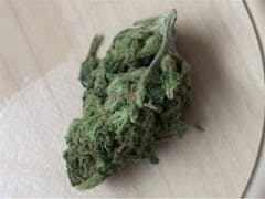User uploaded image of Blue Mystic